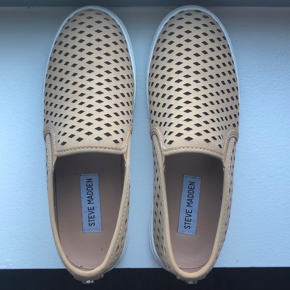 Steve Madden Sneakers